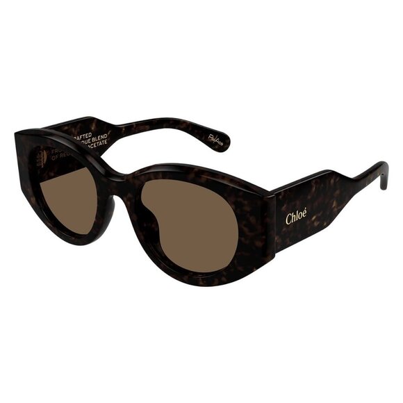 New CHLOE Havana Square CH0251S 002 Sunglasses Women - Picture 1 of 4
